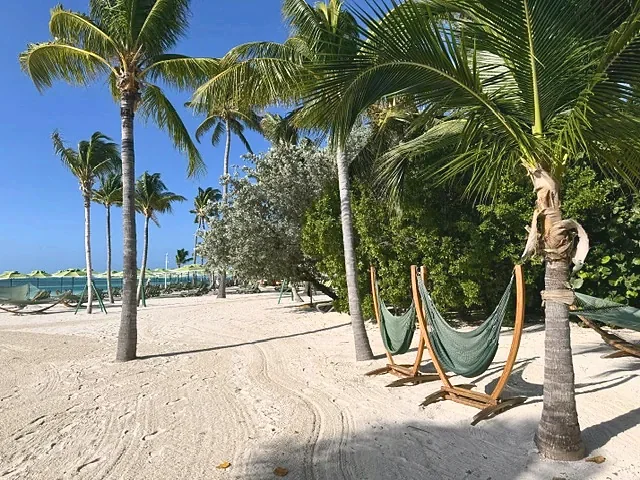 Hammocks strung between palms on quiet sand