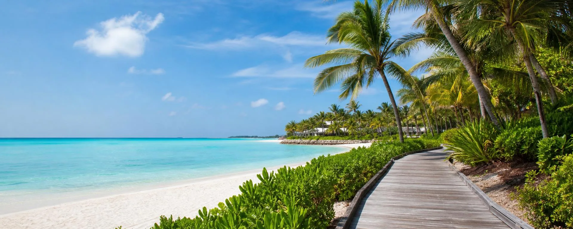 Wooden boardwalk winding past palms toward a white sand beach and clear turquoise Caribbean water